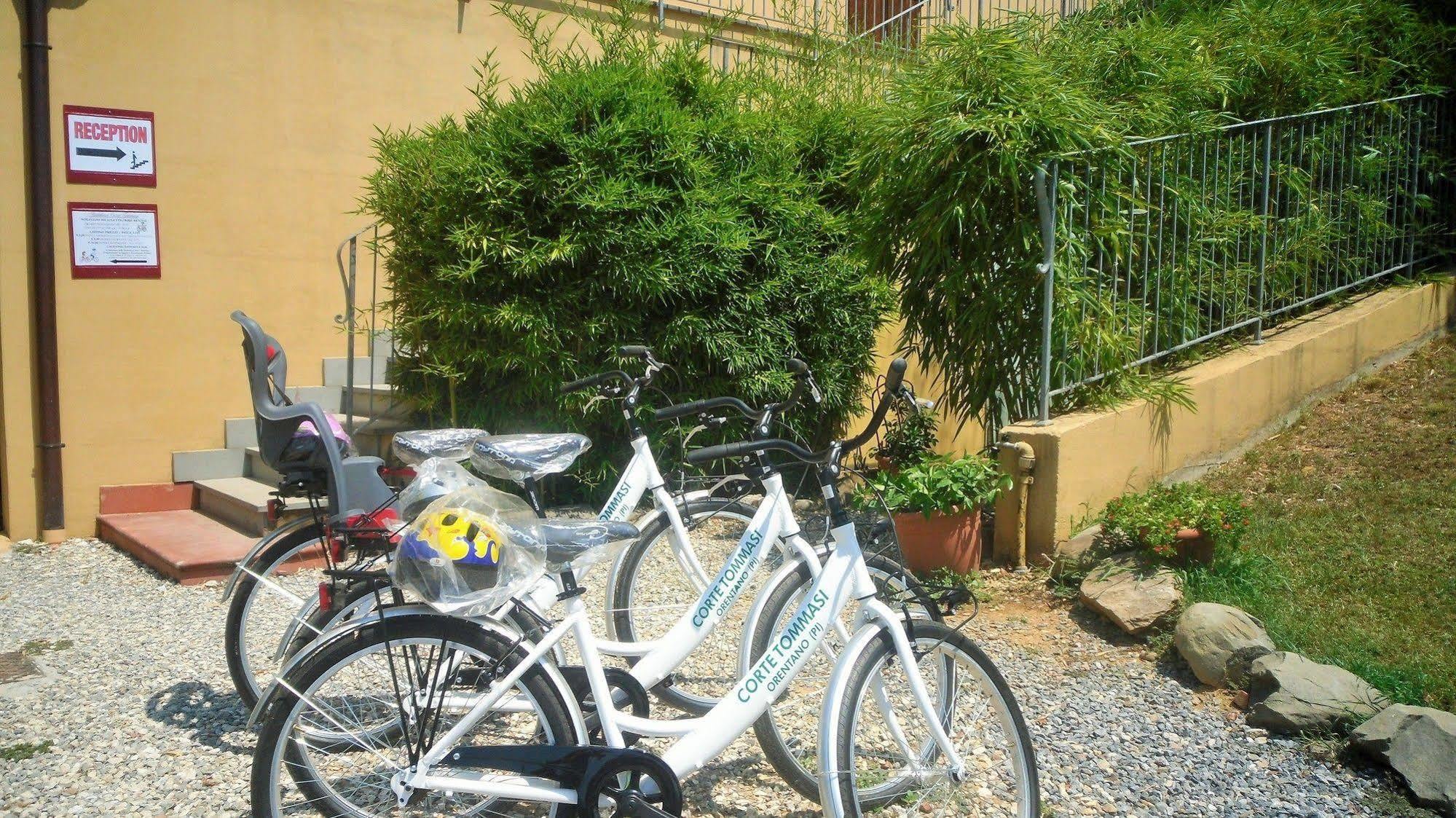 Casa de Campo Corte Tommasi Orentano